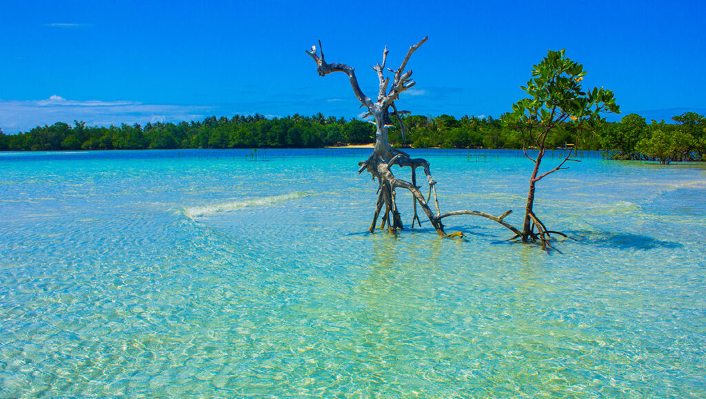 Cagbalete Island,Beaches Near Manila - World Pinoy Flights Blog
