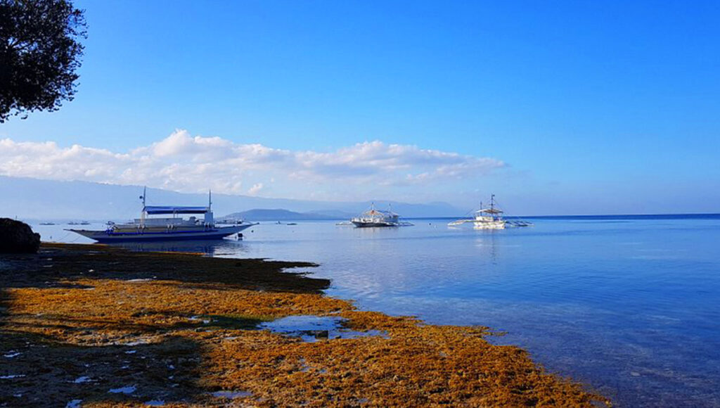 Basdaku Beach,Beaches in South Cebu - World pinoy Flights Blog
