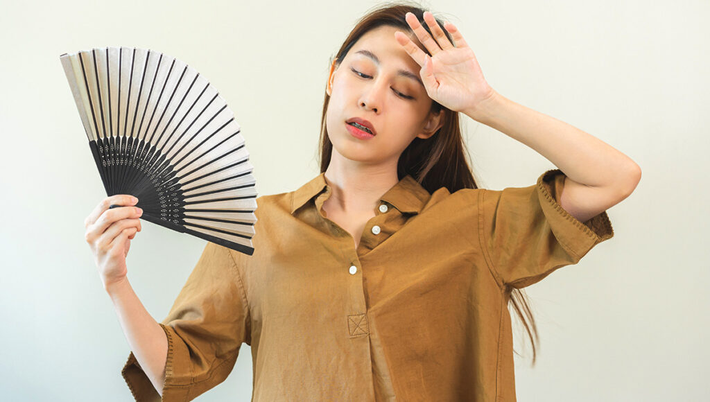 Hand Fans,Philippines Souvenirs - World Pinoy Flights Blog