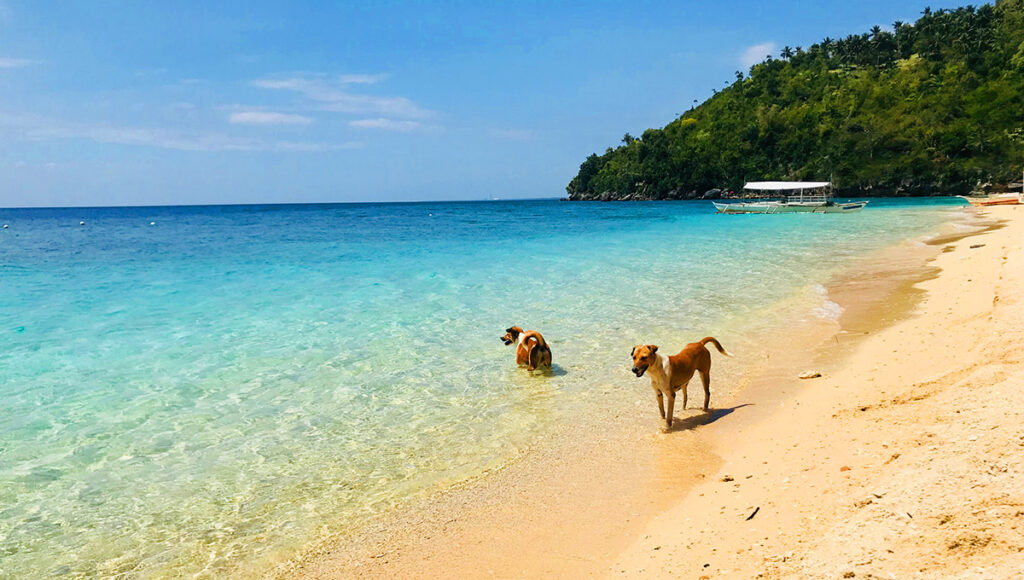 Hermit's Cove,Beaches in South Cebu - World pinoy Flights Blog