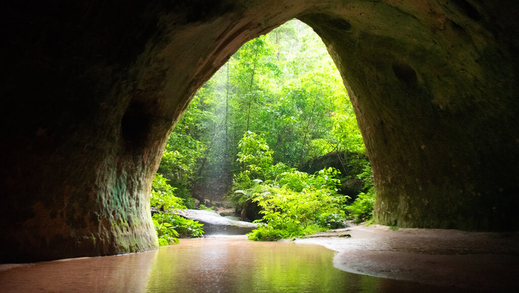 Natural cave pools,Things to do in Bohol - World Pinoy Flights Blog