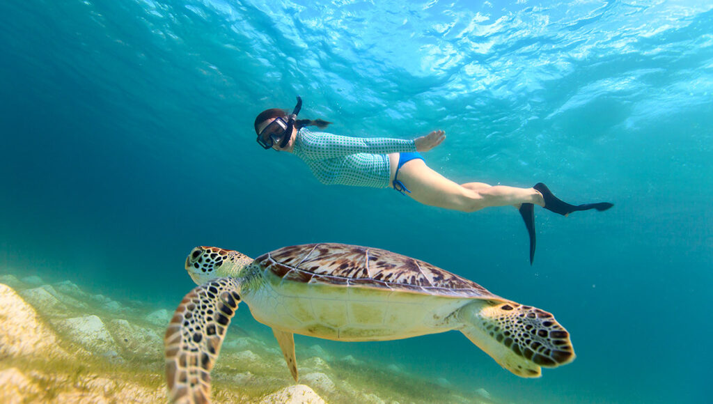 Nemo and snorkelling with turtles,Things to do in Bohol - World Pinoy Flights Blog