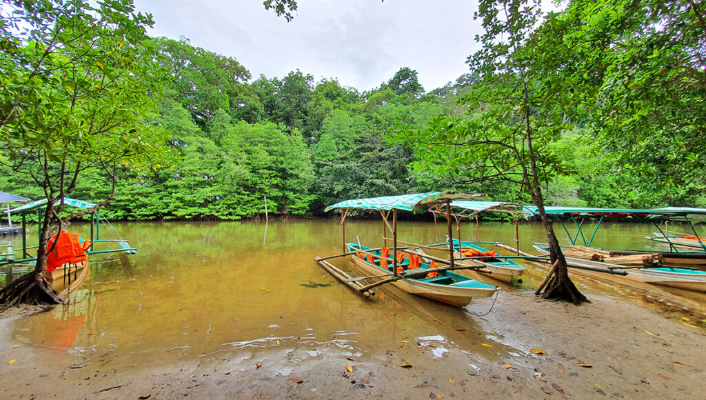 Sabang Mangrove Paddle Boat Tour,Things to Do in Puerto Princesa - World Pinoy Flights Blog