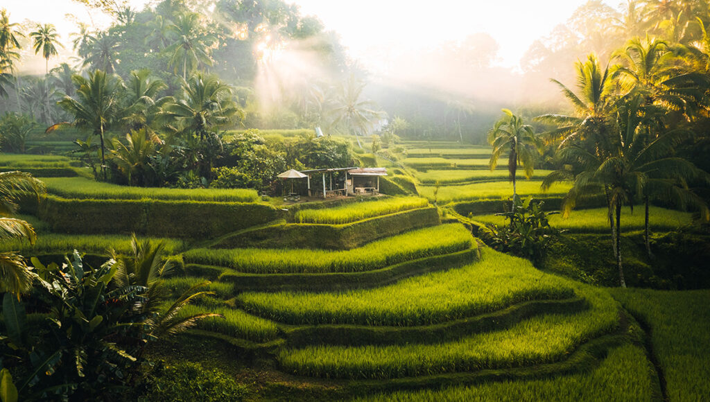 Banaue Rice Terraces,Best Places to Visit in Philippines - World Pinoy Flights Blog
