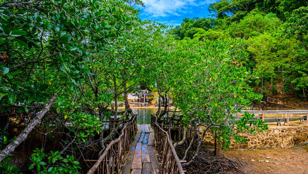 Hot Springs of Maquinit Coron,Best Places to Visit in Philippines - World Pinoy Flights Blog