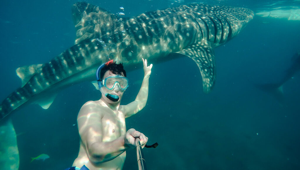 Swim with Whale Sharks in Oslob Cebu,Best Places to Visit in Philippines - World Pinoy Flights Blog