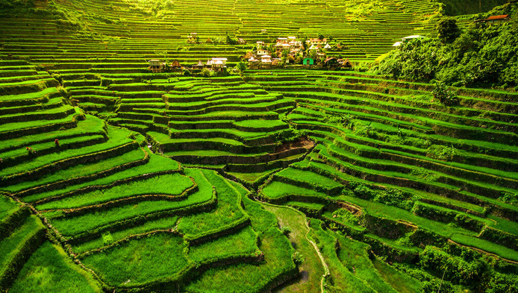 Banaue and Batad Rice Terraces,Backpack Travel Philippines - World Pinoy Flights Blog
