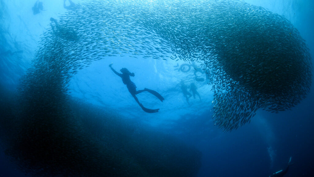 Moalboal Cebu,Philippines Snorkeling-World Pinoy Flights Blog