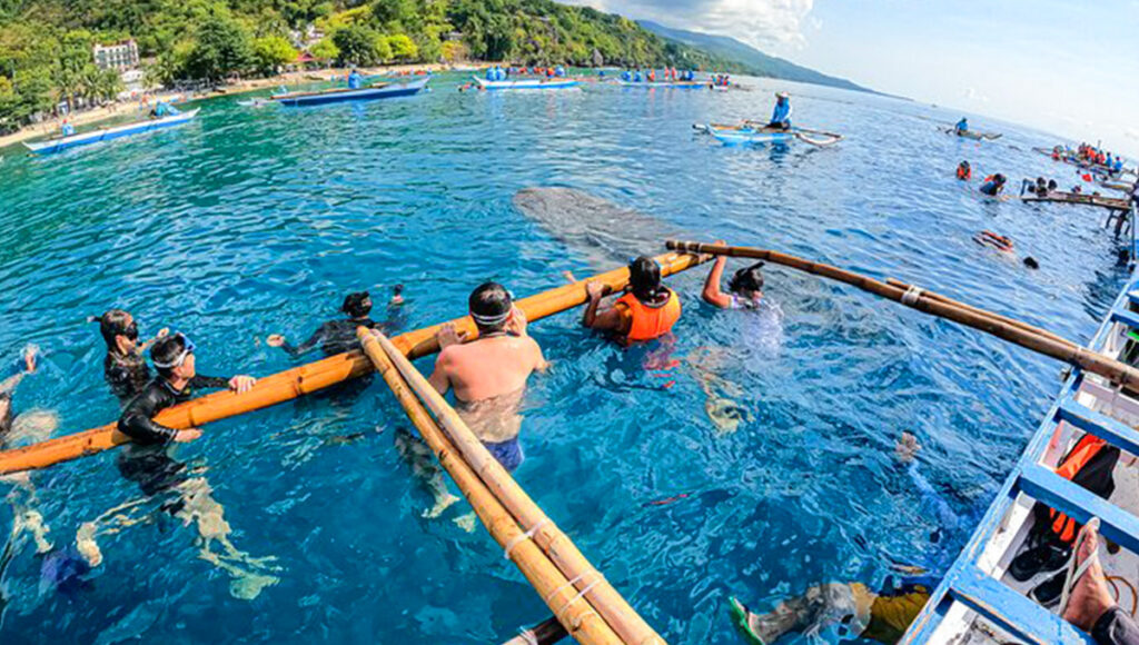 Oslobs Gentle Giants and Sumilons Sandbar,Cebu Itinerary - World Pinoy Flights Blog