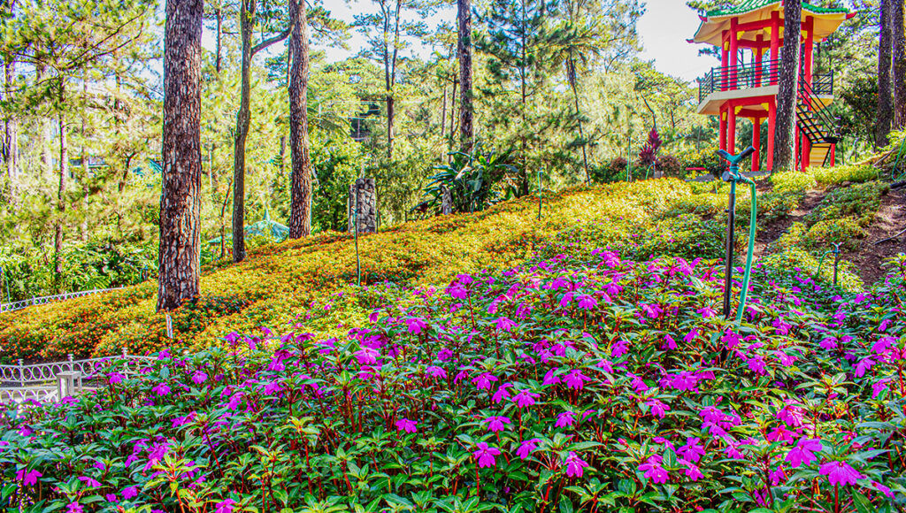 A wide view of Baguio City’s botanical garden, featuring winding pathways, colorful flower beds, tropical trees, and well-maintained green lawns.