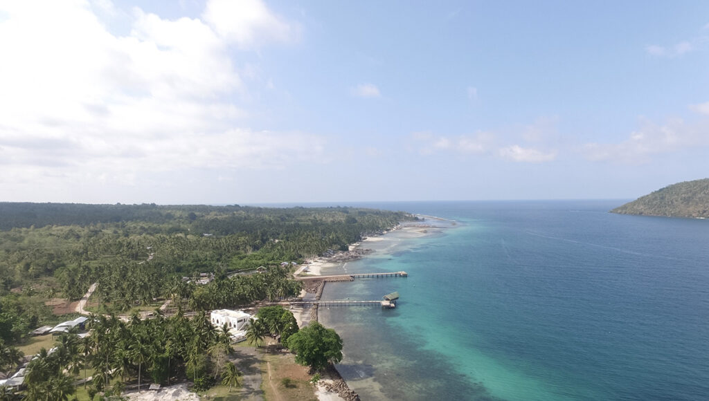 : An aerial, high-angle view of the Jolo Island coastline, featuring a dense canopy of tropical coconut palms meeting a white sand beach and turquoise ocean waves under a cloudy sky.