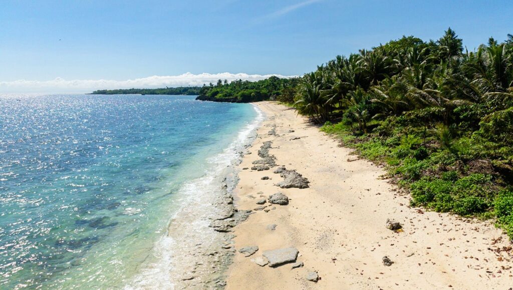 A vibrant, sunlit view of a Jolo Island beach, showcasing clear turquoise water washing over a sandy shoreline dotted with large rocks. Dense tropical palm trees and lush greenery border the beach under a clear blue sky.