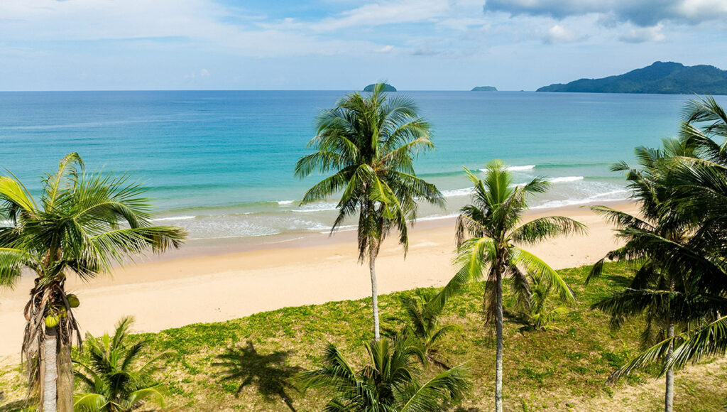 A serene, wide-angle shot of Duli Beach with coconut palms, typical of the pristine Palawan beaches.