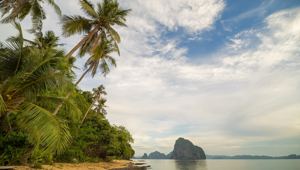 Tall coconut trees leaning over a quiet sandy shore with distant limestone islands on the horizon of Palawan beaches.