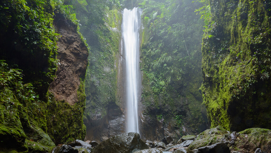 A tall, narrow waterfall cascading down a mossy rock face into a pool, representing the adventurous things to do in Dumaguete and nearby Valencia.