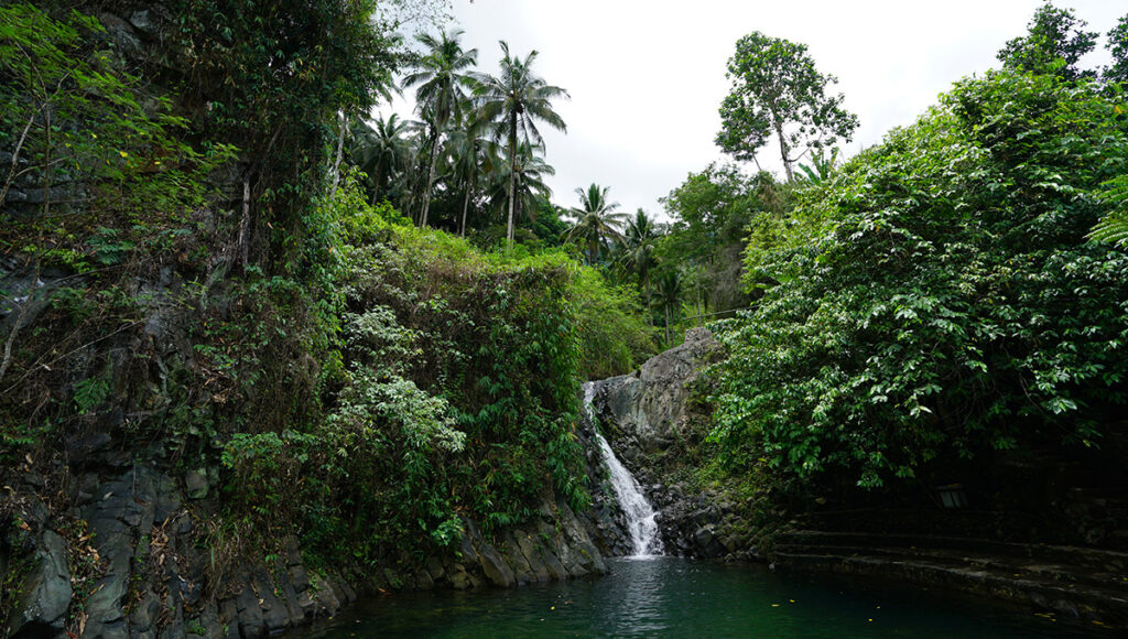 A hidden jungle waterfall surrounded by dense tropical foliage and palm trees, perfect for nature-focused things to do in Dumaguete.