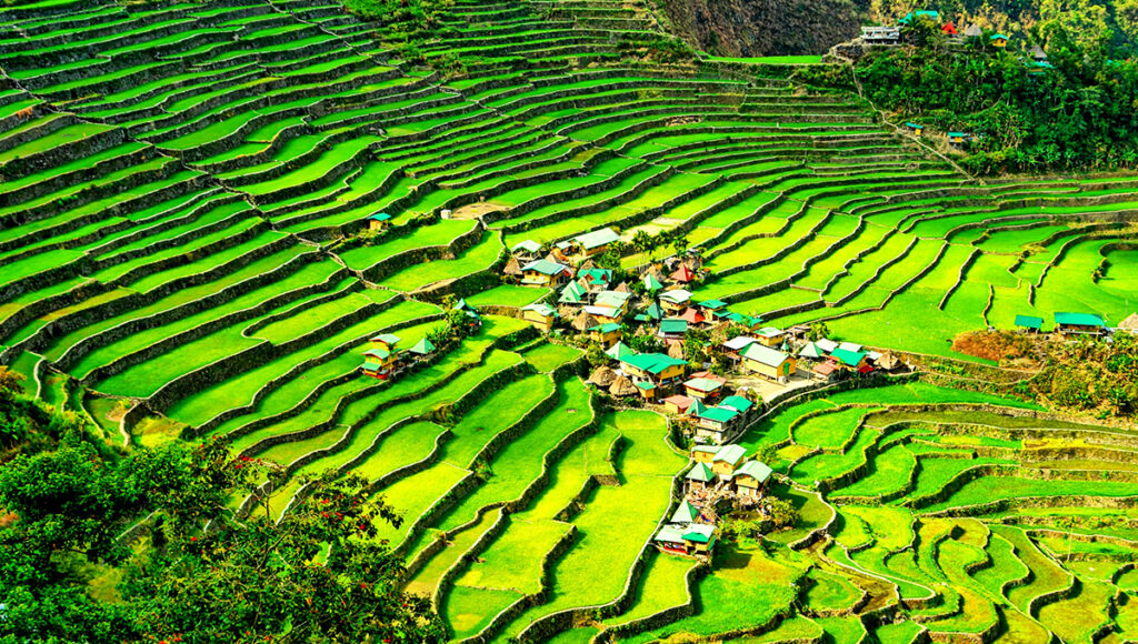 The lush green amphitheater of Batad Rice Terraces and its local village, highlighting the cultural side of 2 weeks in Philippines.