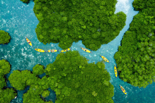 Where to Stay in Philippines - World Pinoy Flights Blog