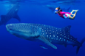 Philippines Snorkeling-World Pinoy Flights Blog