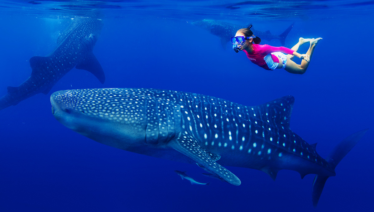 Philippines Snorkeling-World Pinoy Flights Blog