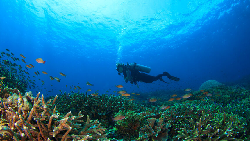 An underwater scene showing a diver exploring a vibrant coral reef teeming with colorful fish, with sunlight filtering through the clear blue water. An ideal representation of Philippines scuba diving.