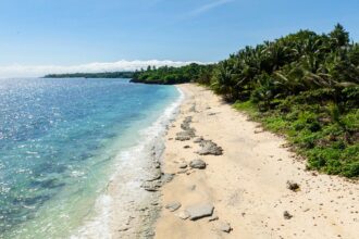 A vibrant, sunlit view of a Jolo Island beach, showcasing clear turquoise water washing over a sandy shoreline dotted with large rocks. Dense tropical palm trees and lush greenery border the beach under a clear blue sky.