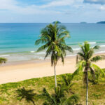 A serene, wide-angle shot of Duli Beach with coconut palms, typical of the pristine Palawan beaches.