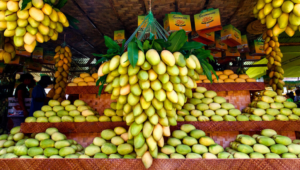 Mango festival decorations and fresh harvest at a Guimaras shop, showcasing festive things to do in Guimaras during the annual Manggahan celebration.