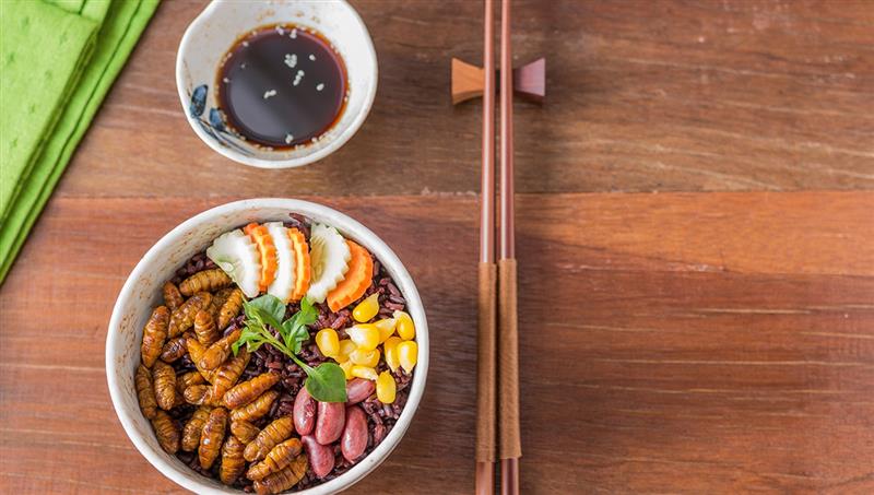 Raw tamilok wood worms dipped in vinegar, a delicacy and one of the top local food things to do in Kalibo for authentic Aklanon culture